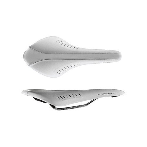 fizik arione white